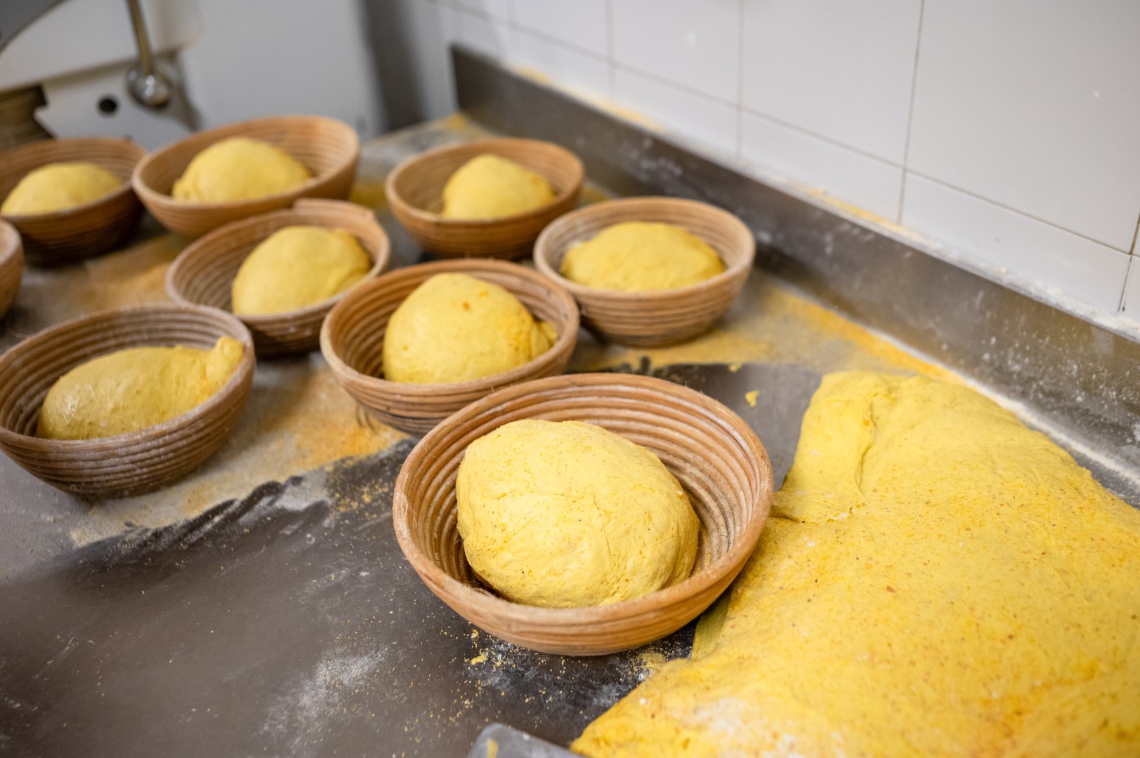 Forno Asolano - 161 (Grande)
