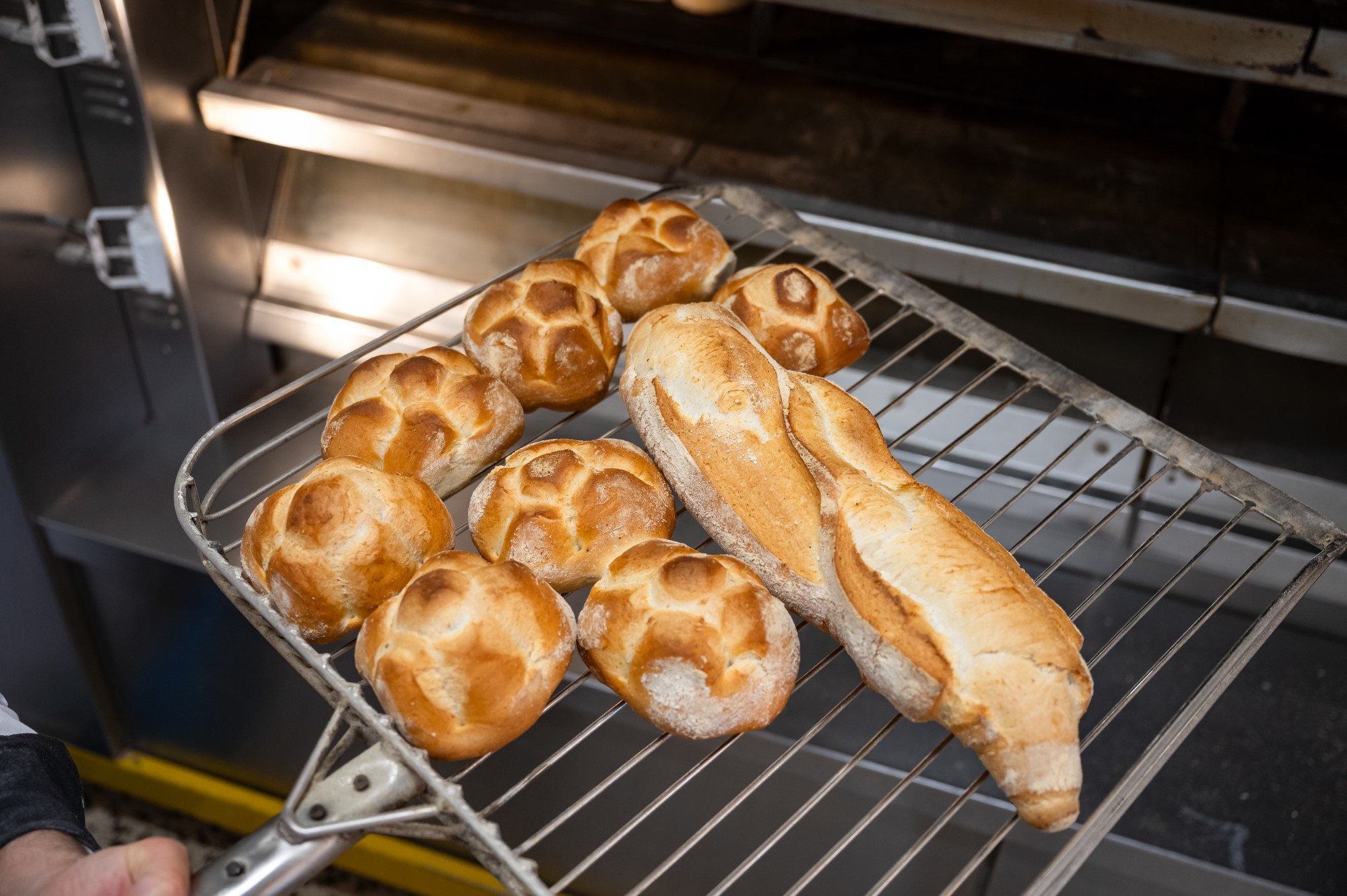 Forno Asolano - 200 (A scelta)