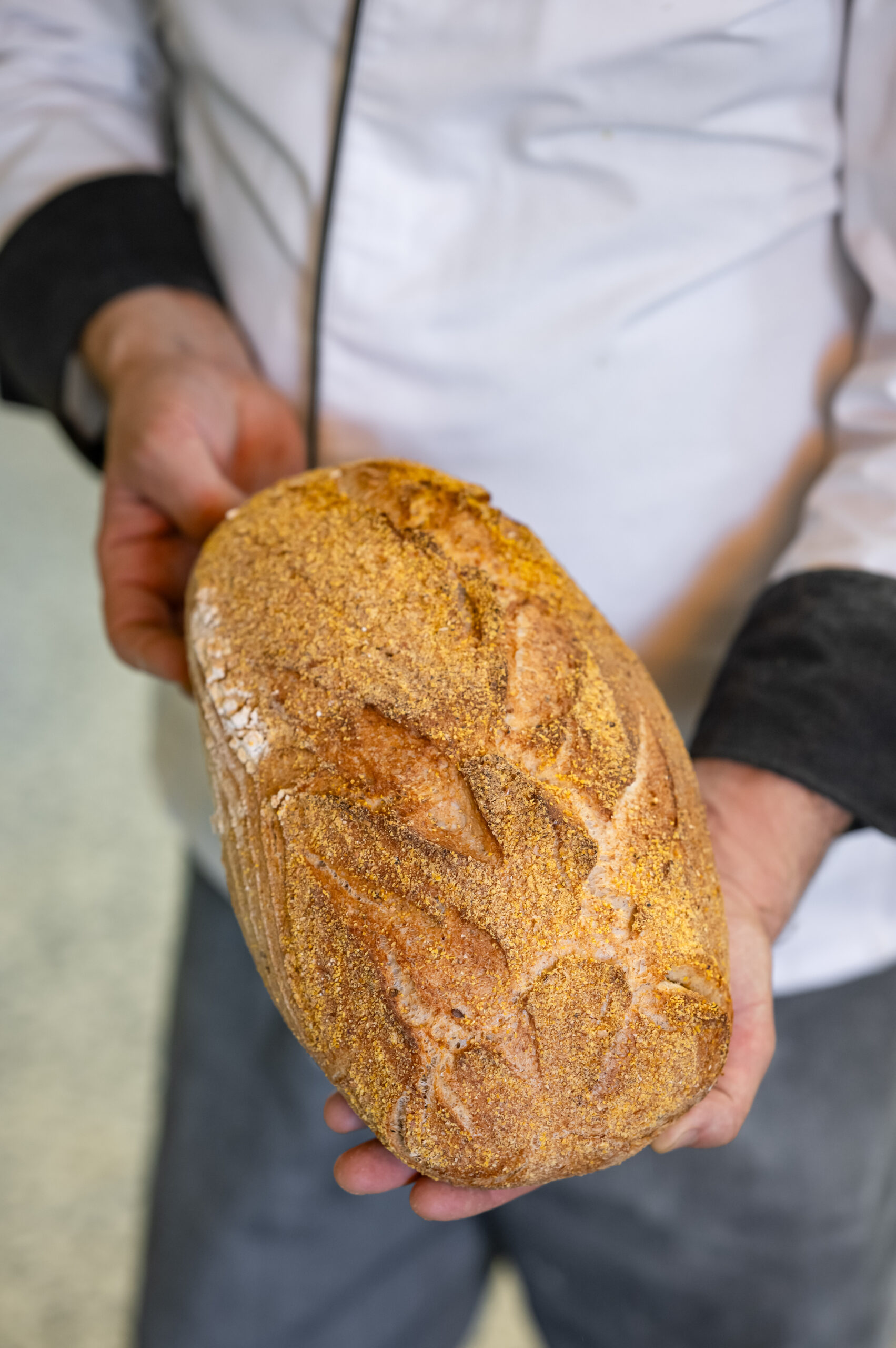 Forno Asolano - 220