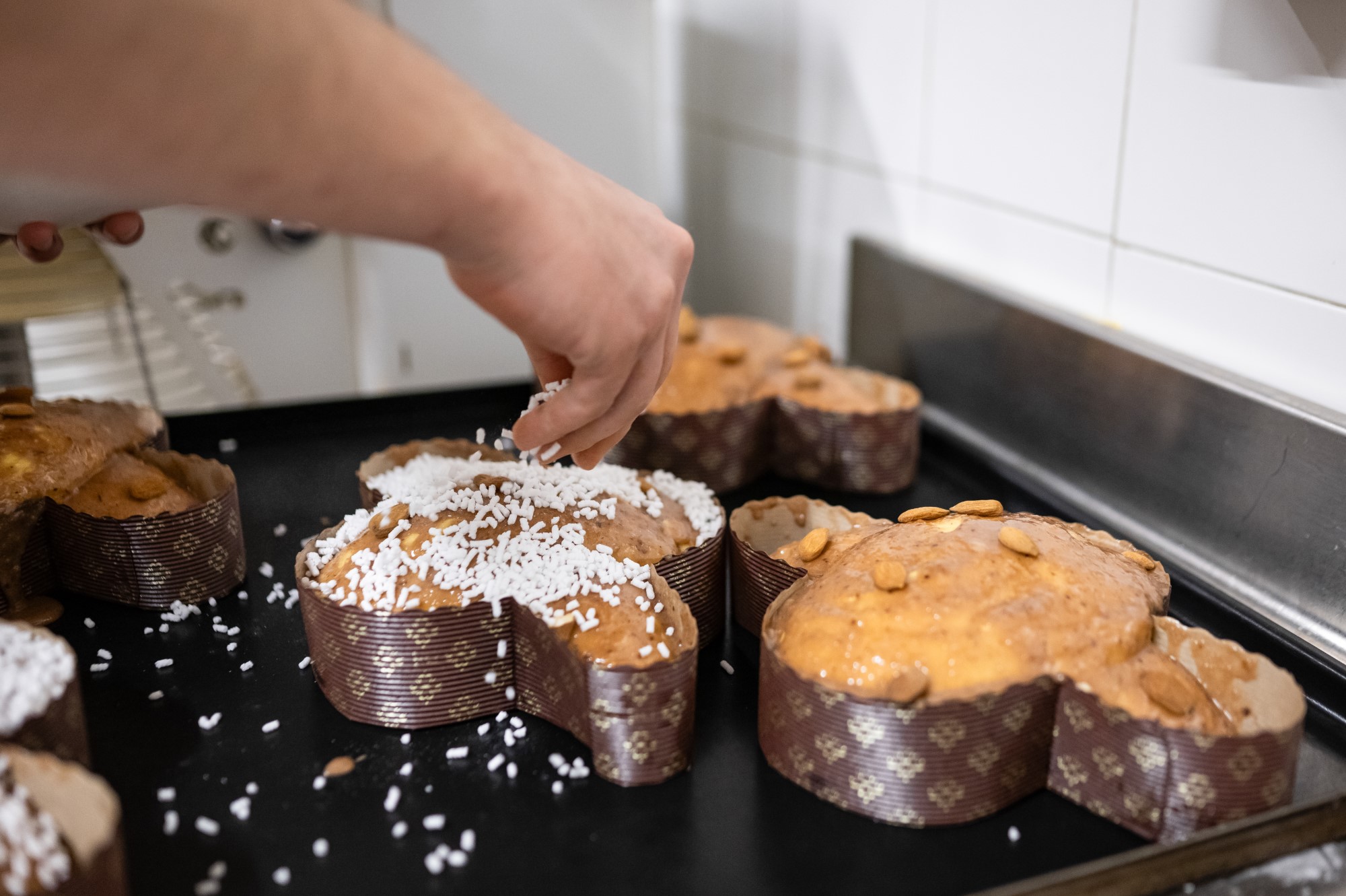 Forno Asolano - 234 (A scelta)
